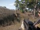 arma3 2016-11-24 22-22-20-32